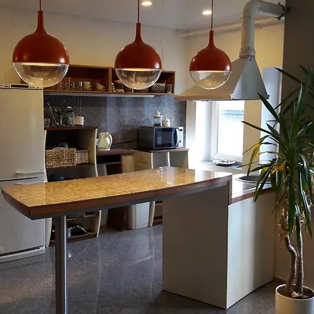 Luxury 1 Apartmán Vilnius